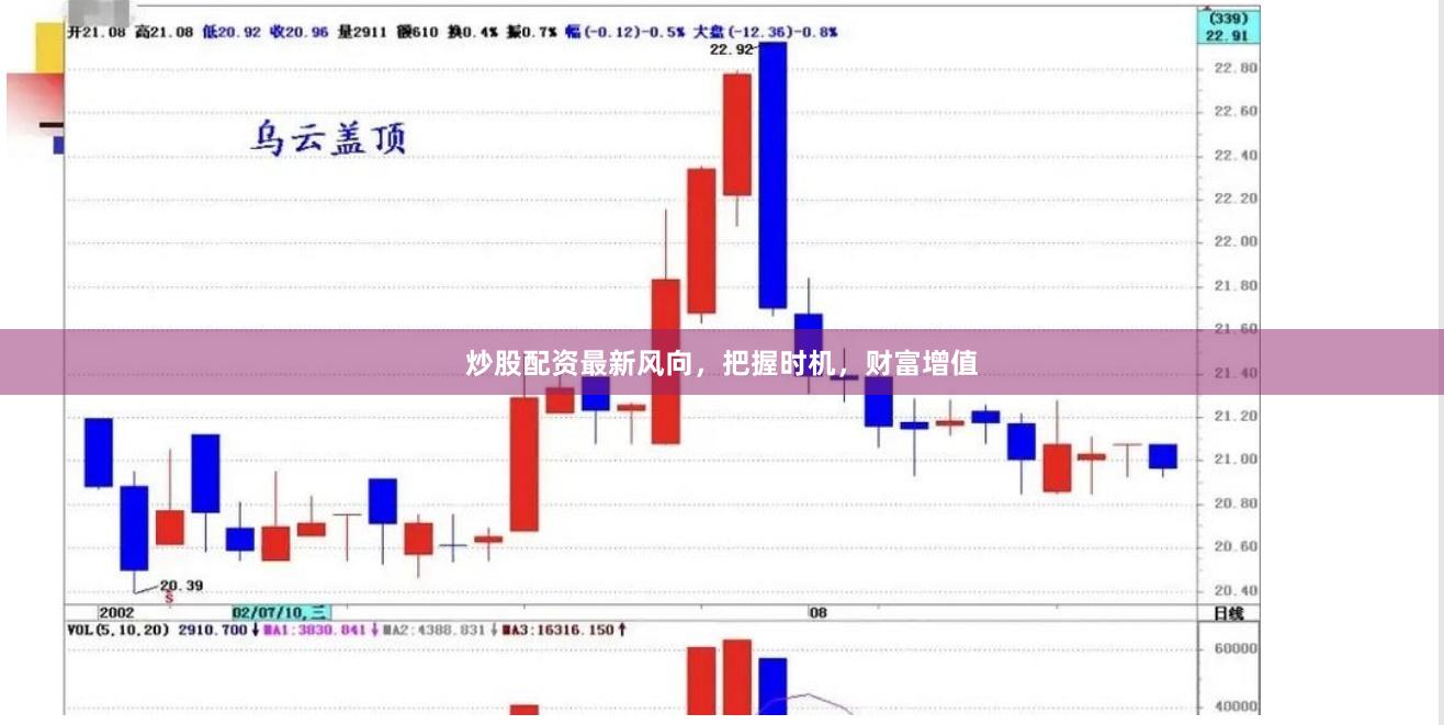 炒股配资最新风向，把握时机，财富增值