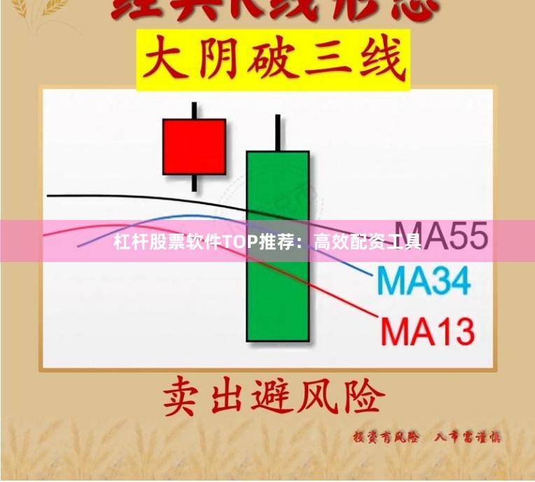 杠杆股票软件TOP推荐：高效配资工具