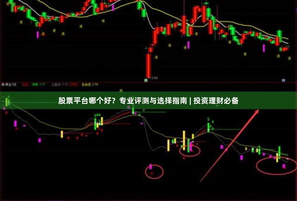 股票平台哪个好？专业评测与选择指南 | 投资理财必备